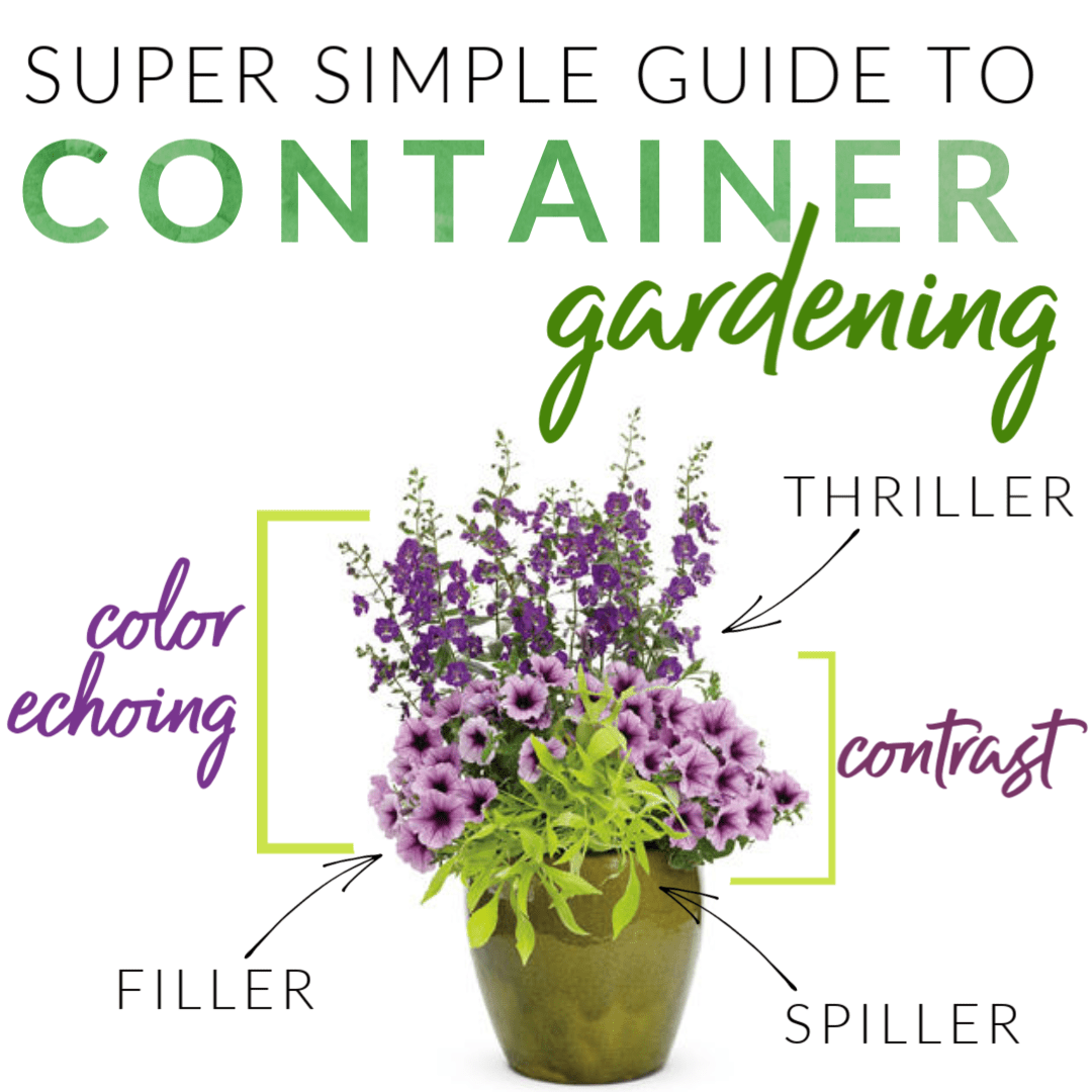 Your Guide To Container Gardening The Home Garden Center