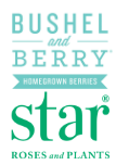 Bushel & Berry | Star Plants